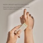 Beauty of joseon Matte Sun Stick : Mugwort + Camelia SPF 50+ PA++++